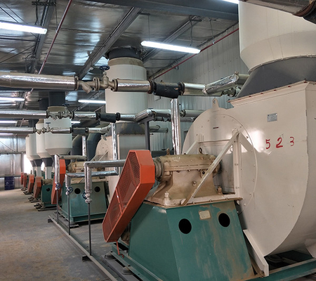 Stain Resistant Cattle Feed Manufacturing Plant 3-12T/H Cow Feed Production Line